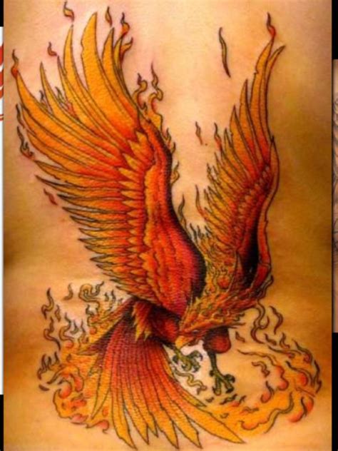 burning phoenix tattoo|phoenix bird tattoo.